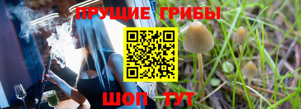 Галлюциногенные грибы мицелий  Псилоцибиновые грибы ЛСД  Вход с VPN  Волгоград 